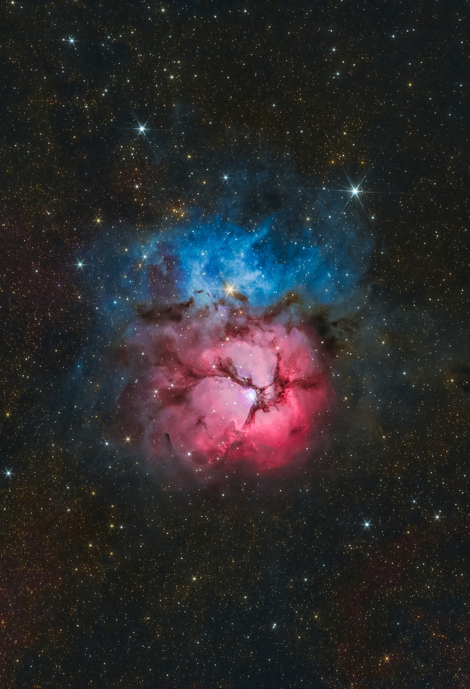 M20, in direzione del Sagittario, si estende per circa 40 anni luce ed ha unetà di circa 300.000 anni, il che la rende una delle regioni di formazione stellare più giovani in cielo, con stelle neonate e astri ancora in formazione avvolti in culle di polveri. - Copyright: Philipe Gomes 