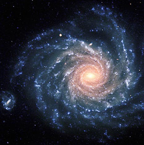 Galassia NGC1232