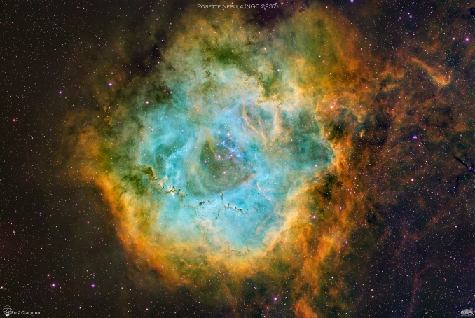 Nota anche con le sigle di catalogo NGC 2237 e C 49 è un'ampia regione H II di forma rozzamente circolare situata nella costellazione dell'Unicorno. Ha un diametro angolare di 1,3° e si trova a una distanza di circa 5200 anni luce dal sistema solare - Copyright: Giacomo Pro