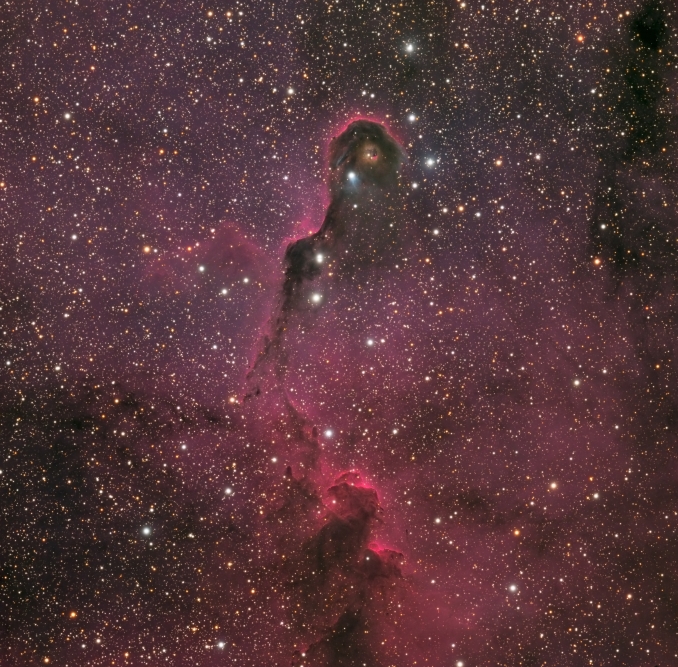 Classica nebulosa oscura nella costellazione del Cefeo che si colloca all'interno della piu grande regione di gas ionizzato denominato IC1396. Ripresa in banda larga con camera monocromatica. - Copyright: Luca Cavadini