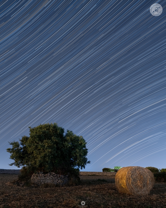 Un antico carrubo veglia silenzioso sulla campagna iblea, radicato alla terra da generazioni, mentre sopra di lui le stelle si trasformano in eleganti scie luminose che attraversano la notte, raccontando il movimento incessante del nostro pianeta. - Copyright: Filippo Galati