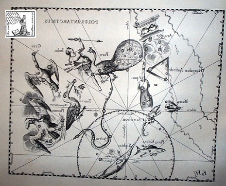 Le costellazioni del Camaleonte e del Pesce Volante - Astronomia.com