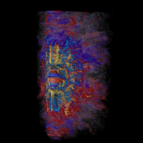 La figura mostra un momento della simulazione del campo magnetico toroidale in una stella massiccia collassata, dove in appena 10 millisecondi la rapida rotazione differenziale amplifica il campo magnetico stellare fino a portarlo a valori dell’ordine di milioni di miliardi di volte quello del Sole (in giallo valori positivi, in azzurro valori negativi). Rosso e blu rappresentano campi magnetici più deboli positivi e negativi, rispettivamente. Credit: Robert R. Sisneros (NCSA) e Philipp Mösta 