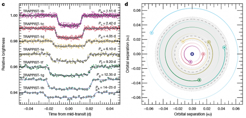 Fig.4: Curve di luce rappresentative dei transiti dei 7 pianeti (a sinista) e rappresentazione delle loro orbite (escluso Trappist-1h); l'area in grigio e quella delimitata dai due cerchi tratteggiati rappresentano la "zona abitabile" (presenza abbondante di acqua liquida in superficie) secondo due diversi modelli. - Crediti: Gillon et al. - ESO